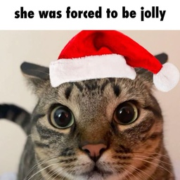 Bonkierr-BonksMiniModpack icon