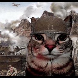 Bonkierr-BonksModpack icon