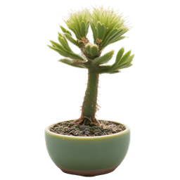 BonsaiCactus-BonsaiCactusServerPack icon