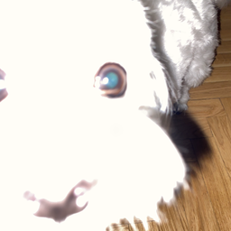 BoopDog-ModdedPremium icon