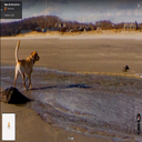 Borazan-Televizyon_ho icon