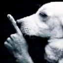 Bosta-Chapeeeeeu icon