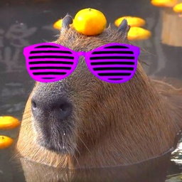 Bouncing-CapybaraDance icon