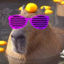 Bouncing-CapybaraDance icon