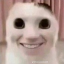 BouncyPsychos-DasSpasstenExperiment icon