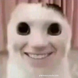 BouncyPsychos-DasSpasstenExperiment icon