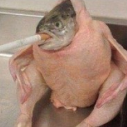 BoxOfCrackers-LethalCrackers icon