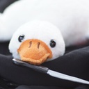 BoysClubPlusGirls-BoysClub_Modpack icon