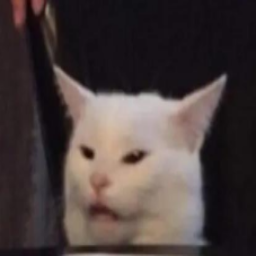 BraindeadCollie-Omi_Gott_TV icon