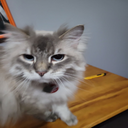 Bready-anikas_tv icon