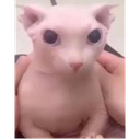 Breakrice-MyFreindesModpack icon