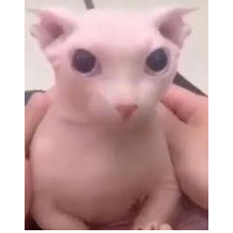 Breakrice-MyFreindesModpack icon