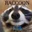 Brew-RaccoonLib-1.0.4 icon