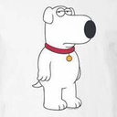 BrianTeam-BrianMod icon