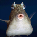 Brothers-brothersmp icon