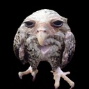 BrycenStuff-BrycenStuff icon