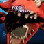 Brynzananas-1_in_10000_Chance_for_Withered_Foxy_Jumpscare_Every_Second-1.0.1 icon