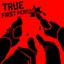 Brynzananas-True_First_Person-1.0.1 icon