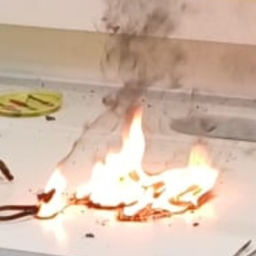 BurgerBBeweging-BBBmods icon