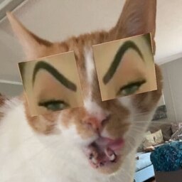 BurgerIsland-Burger_Island icon