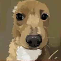 Burgerday-GreenYellowBlue icon