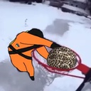 BurntTeam-BurntModpack icon