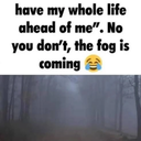 BurroBananas-the_fog icon