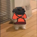 Butter13-Butter_pack icon