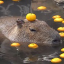 Bybarg-ServerServer_Music icon