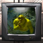 C4-Shrek_on_TV-1.0.0 icon