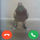 CAMAROES-camaroners_repo_omg icon