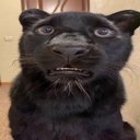 CAMAROES-camaronersmeajudaporfavor icon