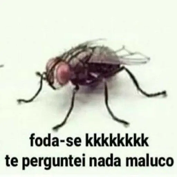 CAMAROES-camaronersultimato icon