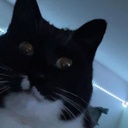 CENJI-shadow_modpack icon