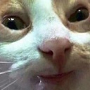 CRINGE-Cringemas_Gamers icon