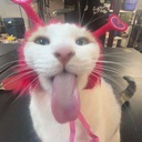 CakeGamez-LethalGoonery icon