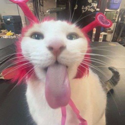 CakeGamez-LethalGoonery icon