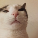 CakeGamez-SillyVideos icon