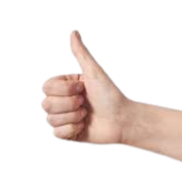 Capi_ss-RealHandsBB icon