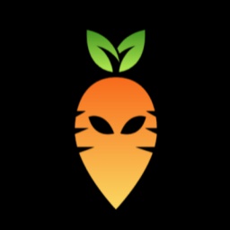 Carrot9943-Gaggle_Of_Idiots_Modpack icon
