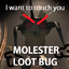 Caseuhdeeyuh-MolesterLootBug-1.0.3 icon