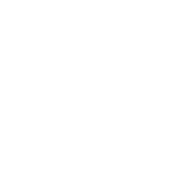 CassAttack9-HollowKnight icon