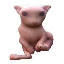 CatEmpire-EvenMoreCats icon