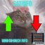 CatsArmy-CatInfo-2.4.1 icon