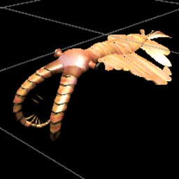 Ccode_lang-Anomalocaris icon