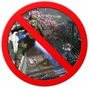 Ceaika-NoWallrun icon