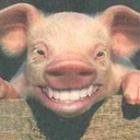 Cerdaypetarda-Thicc_Edition icon