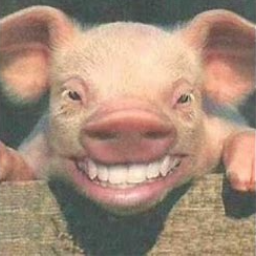 Cerdaypetarda-Thicc_Edition icon