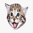 ChaosBeans-DeepMeow icon