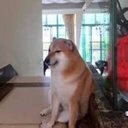 Cheems518-TheBoisModpack icon